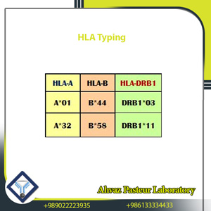 Detection of 96 HLA-A, HLA-B and HLA-DR